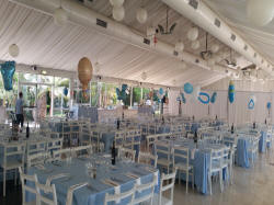 בלונים לאירועים